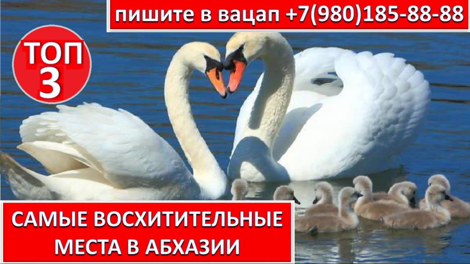 ТОП 3 САМЫХ ВОСХИТИТЕЛЬНЫХ  МЕСТ В АБХАЗИИ