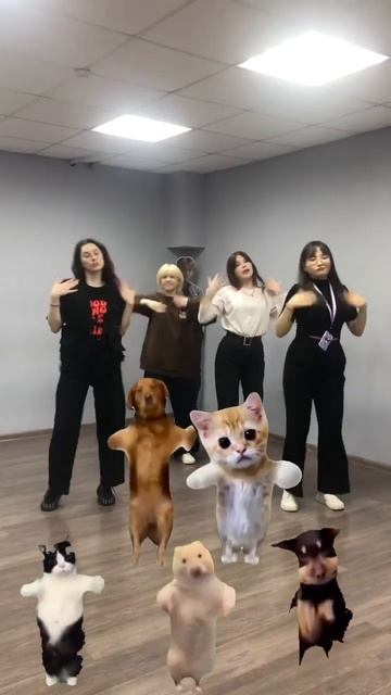 #dance #shortschallenge #cdt #funny #trending #frends смотреть онлайн