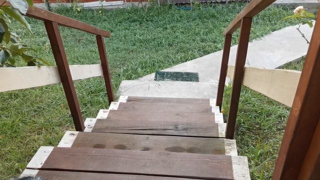 СОЧИ ГОРНОЕ ЛОО УТРО 26.07.2025 смотреть онлайн