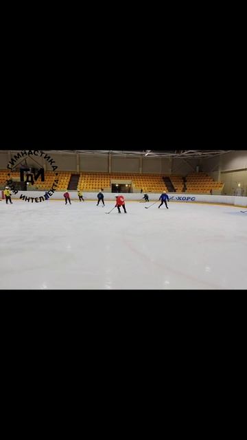 Проведение занятий по программе 