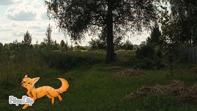Белка