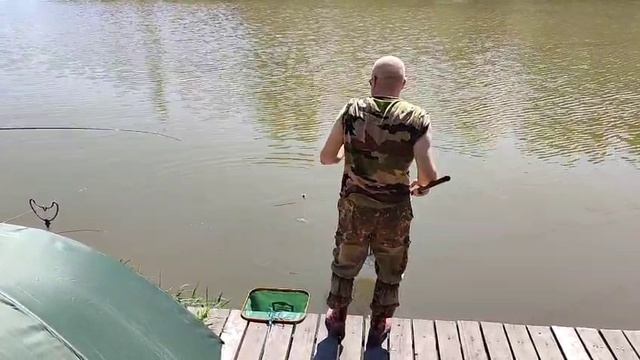 Поимка на кукурузу смотреть онлайн