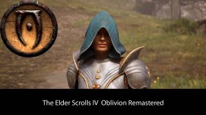 The Elder Scrolls IV Oblivion Remastered #22 - Засада
