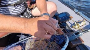 26-07-2025. С мужем на рыбалку. Ленинградская область, река Свирь.