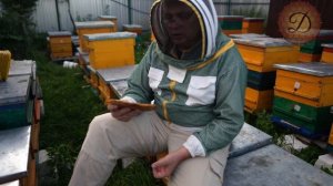 БЕЛОК ДЛЯ БЫСТРОГО РАЗВИТИЯ