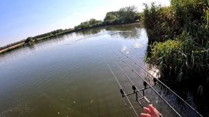 Рыбалка на карпа и сазана, флэт и фидер. 24.07.25.