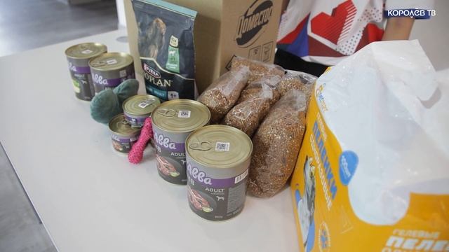 «Дай лапу»: неравнодушные королёвцы помогают бездомным животным смотреть онлайн