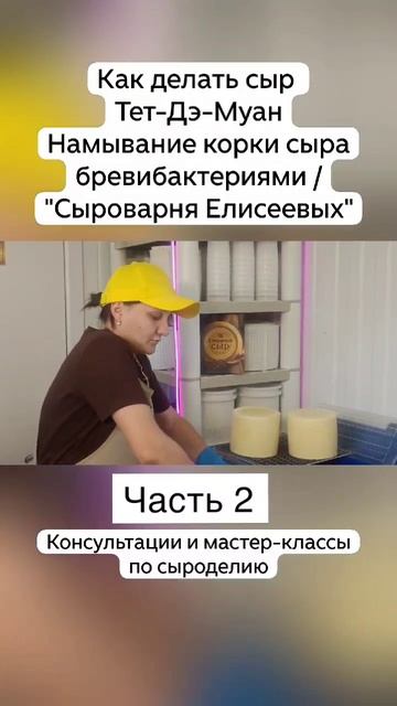 Как делать сыр Тет-Дэ-Муан Намывание корки сыра бревибактериями / "Сыроварня Елисеевых" / Часть 2 смотреть онлайн