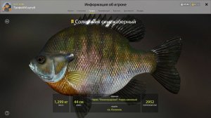 ТРОФЕЙ СОЛНЕЧНИК СИНЕЖАБЕРНЫЙ!!!ЛОСИНОЕ ОЗЕРО - РУССКАЯ РЫБАЛКА 4