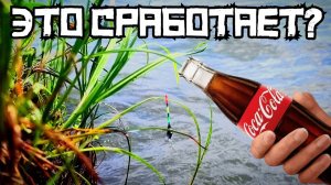 ЖУТЬ! Закормил Речку КОКА-КОЛОЙ и ПОШЛО! Рыбалка в ИЮЛЕ 2025