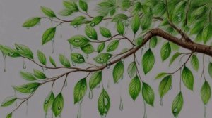 "Ветер и дождь", кавер из дорамы "Записки об утреннем снеге"