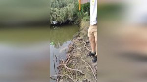 Классный отдых на Кубани. Рыбалка и пикник