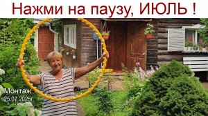 Нажми на паузу июль, ведь мы ещё не отогрелись... или КОТоБудни от 25.07.2025 г.
