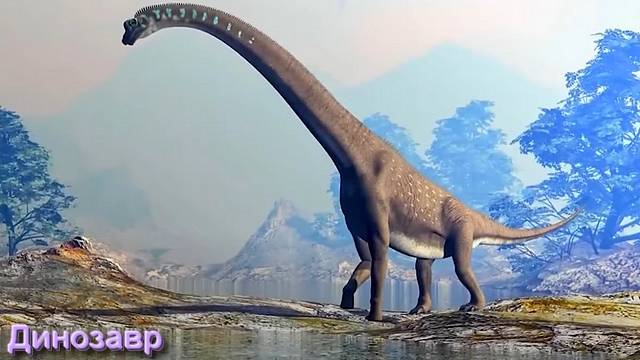 Ответы на Вопросы по Эзотерике от 26.07.25 смотреть онлайн