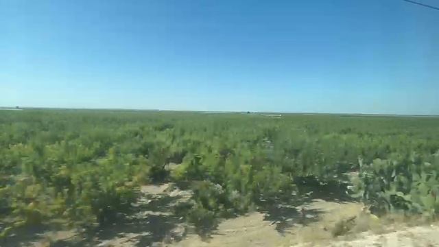 Виды из поезда на итальянские  просторы