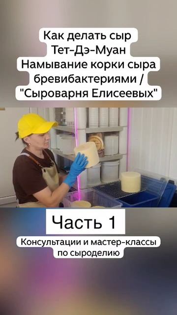 Как делать сыр Тет-Дэ-Муан Намывание корки сыра бревибактериями / "Сыроварня Елисеевых" / Часть 1 смотреть онлайн