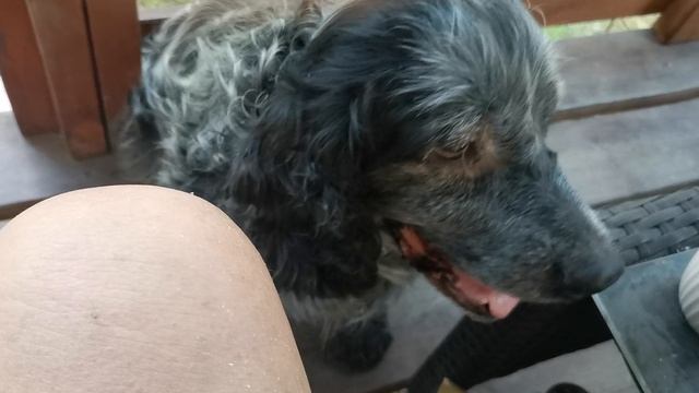 СОЧИ ГОРНОЕ ЛОО ВЕЧЕР 26.07.2025 смотреть онлайн