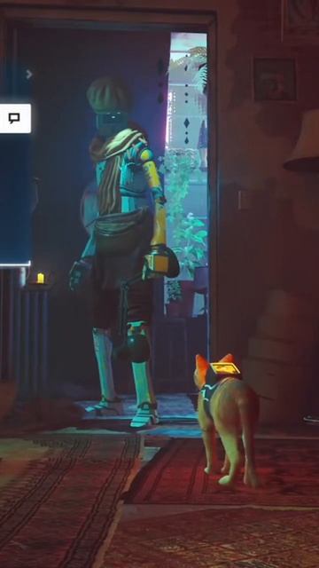 Встреча с Клементиной! 😺👩🤖 #stray #straycat #shorts #shortvideo смотреть онлайн