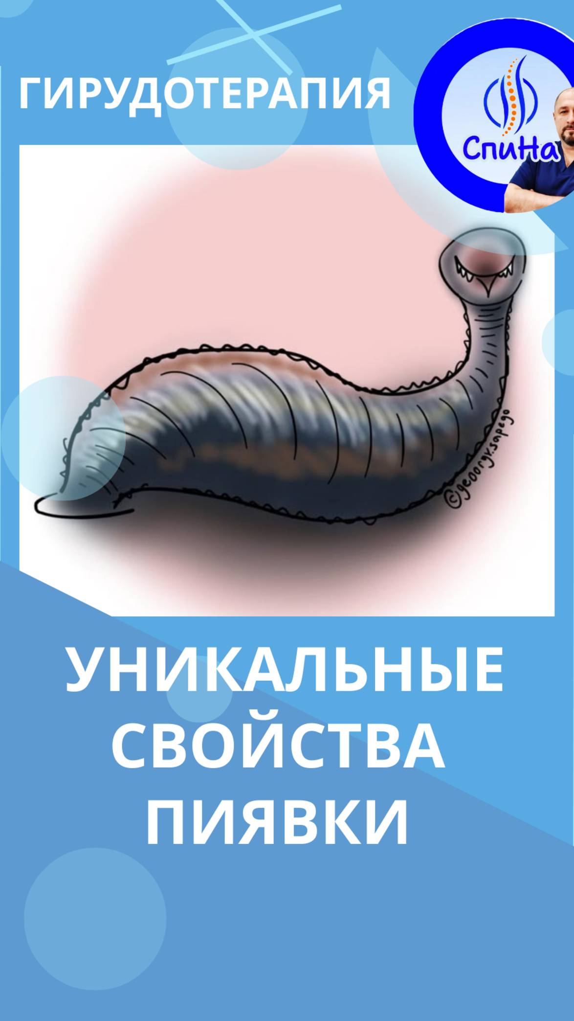 Уникальные свойства пиявок #костоправмосква #пиявки #чтоделать #кгирудотерапия #лимфа #застойлимфы смотреть онлайн
