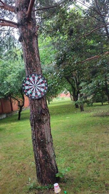 40 лет выпуску, дартс.mp4