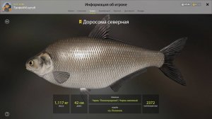 ТРОФЕЙ ДОРОСОМА СЕВЕРНАЯ!!!ЛОСИНОЕ ОЗЕРО - РУССКАЯ РЫБАЛКА 4