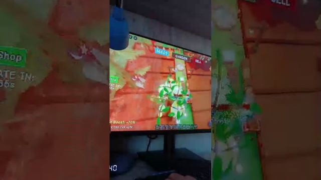 гров э Гарден обнова