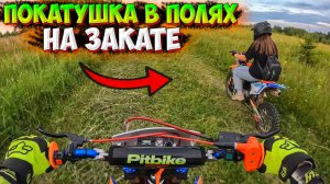 ПОКАТУШКА НА ПИТБАЙКАХ В ПОЛЯХ НА ЗАКАТЕ!? AVANTIS RX 150E LUX!
