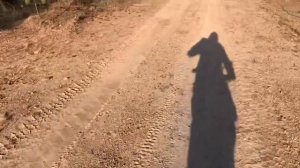 Двигаемся вперёд, а там как будет. Всем добра.