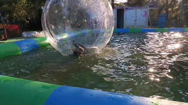 Шар на воде 😋