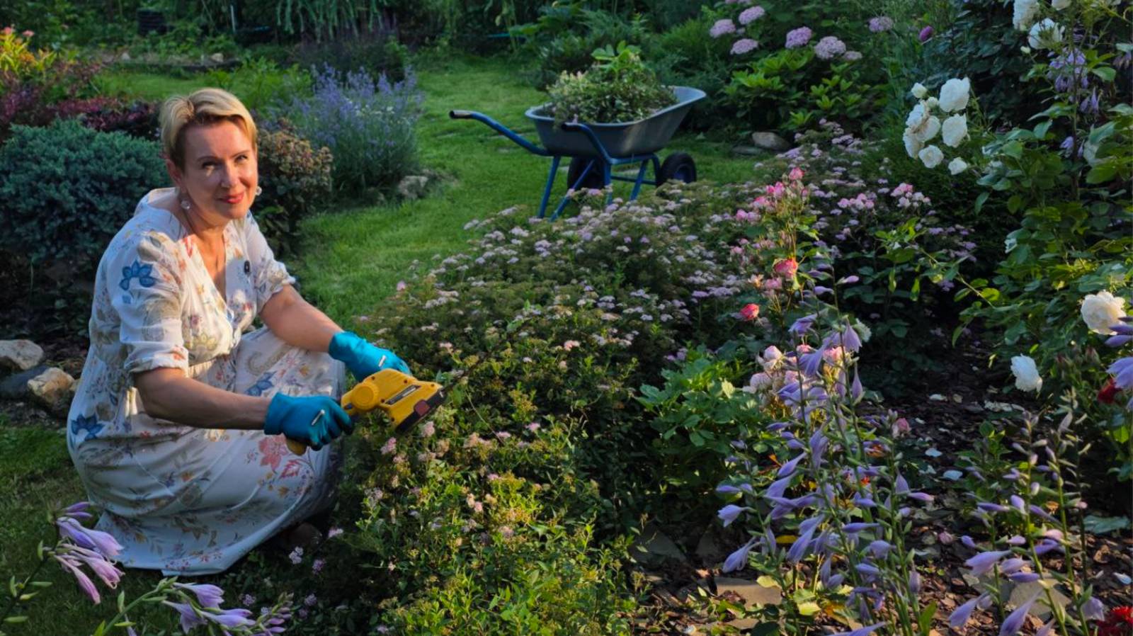 26 июля дача | заболел виноград | стригу бордюр | пора обрезать малину смотреть онлайн