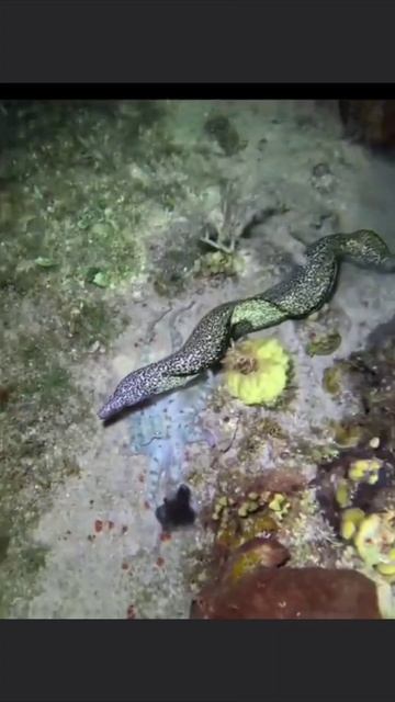 На спокойно смотреть онлайн