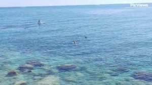 Крым Ялта Алупка пляж Южнобережный и пляж Лягушка сегодня 26 июля 2025.Море и погода в Алупке сейчас