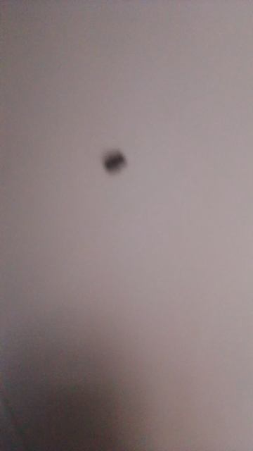 Тюлень Юрец🇷🇺