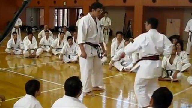 Kyokushinkan Bunkai Kumite Gekisai Sho And Others