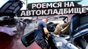 Автосвалка в США / Дешевые запчасти? / Бизнес в США / Аукционы контейнеров в США