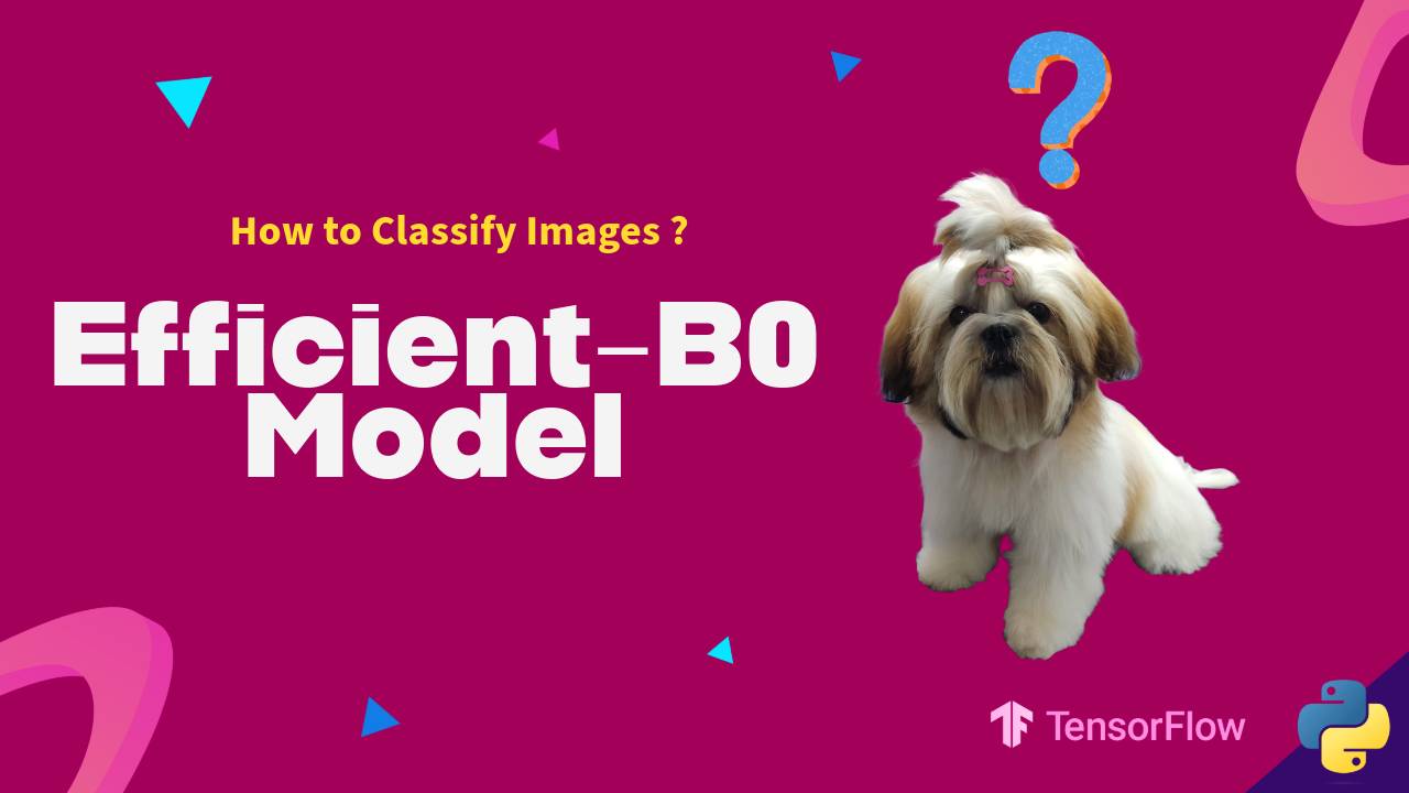 How to Classify images using Efficientnet B0 смотреть онлайн
