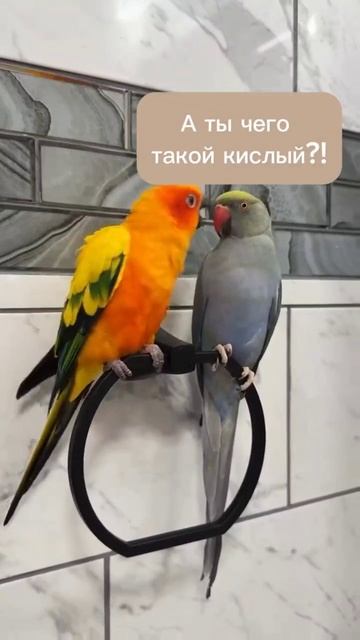 Наконец-то выходные! #выходные