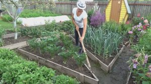 6 соток 23 июля 2025 года. 1 часть