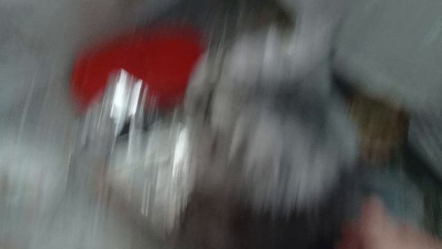 как и обещала вам видео с Барсиком смотреть онлайн