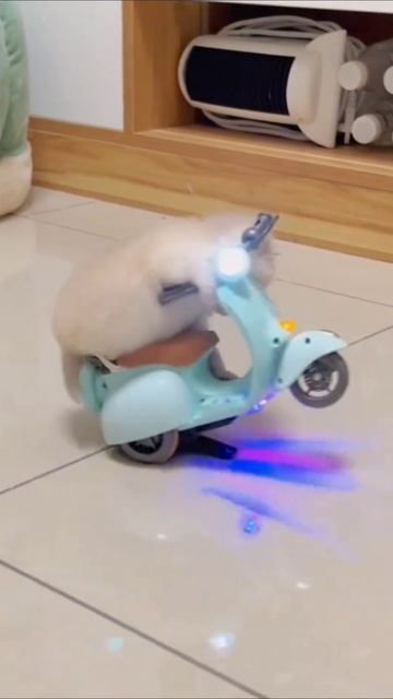 Милота смотреть онлайн