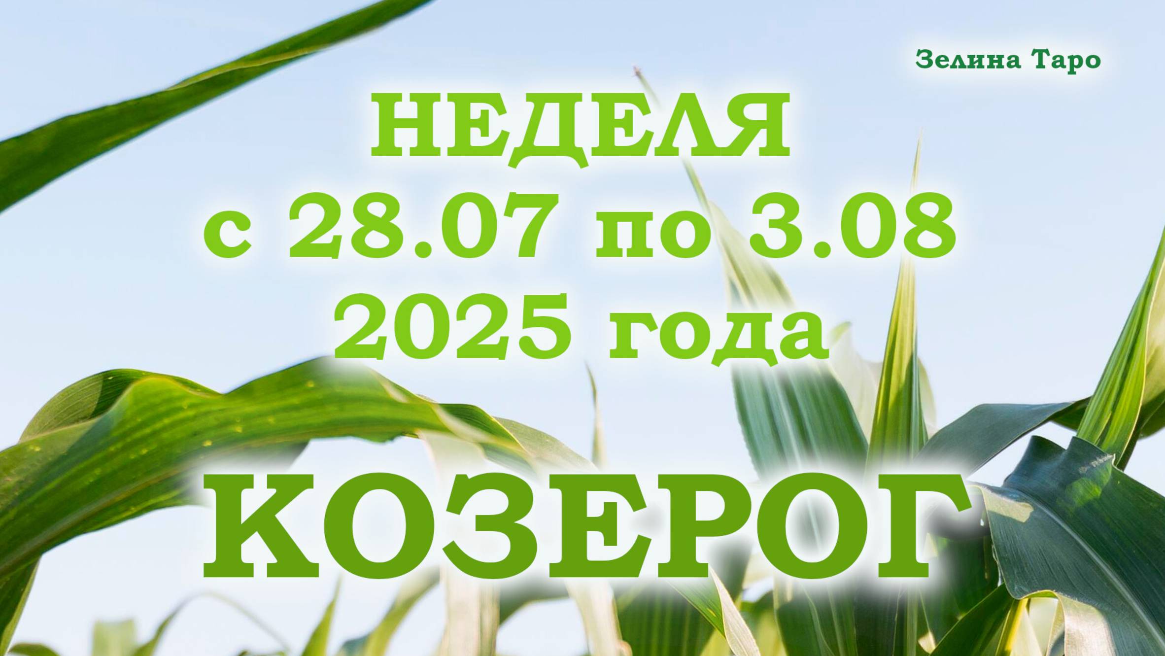 КОЗЕРОГ | ТАРО прогноз на неделю с 28 июля по 3 августа 2025 года