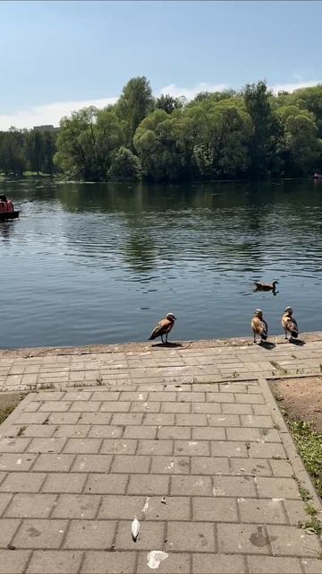 парк Дружбы