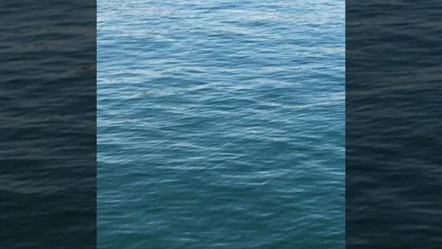 с днём (ВМФ) смотреть онлайн