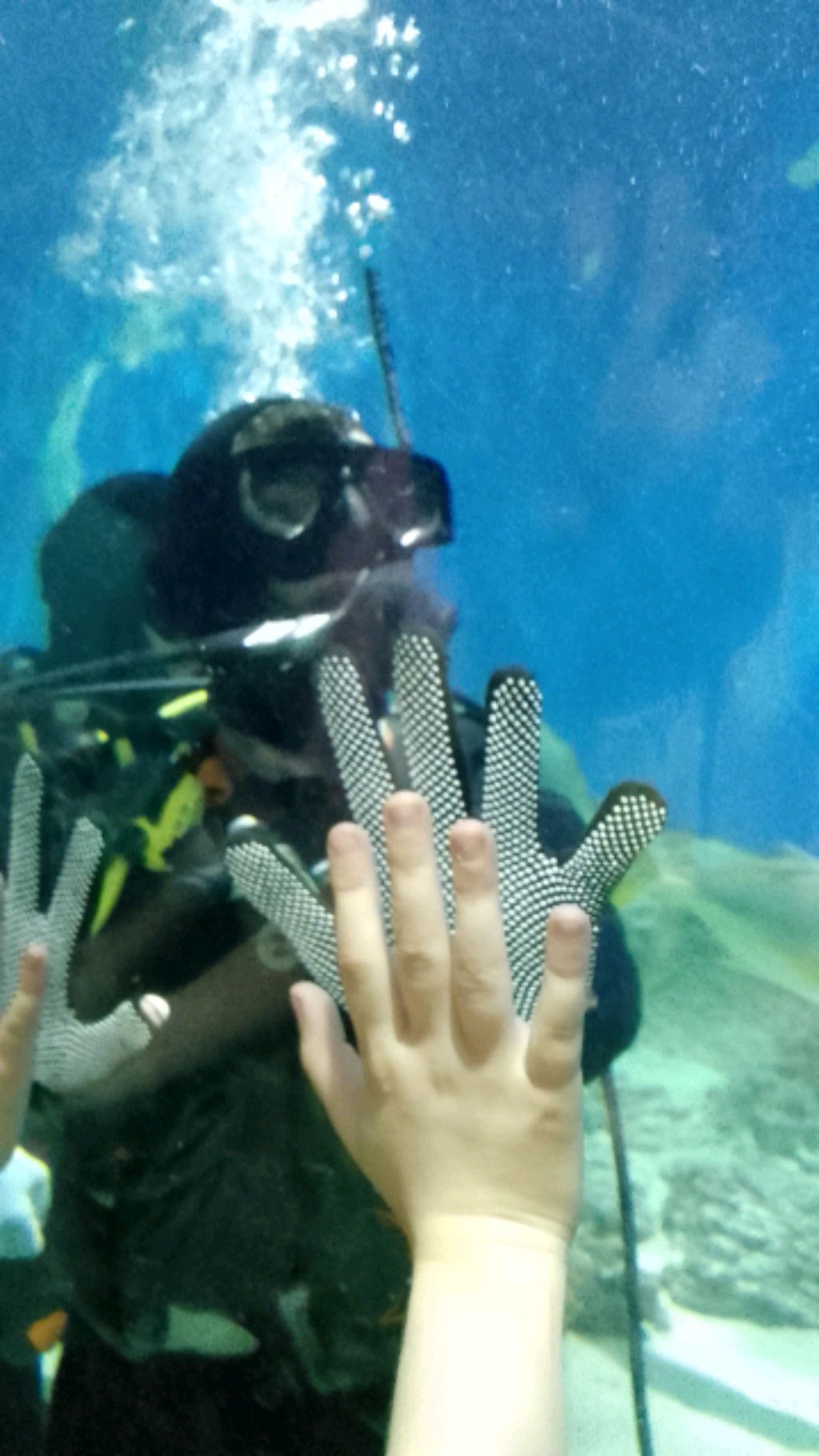 ОСТАЛОСЬ ДЕВЯТЬ ЧЕЛОВЕК ДО 1.000 ПОДПИСЧИКОВ смотреть онлайн