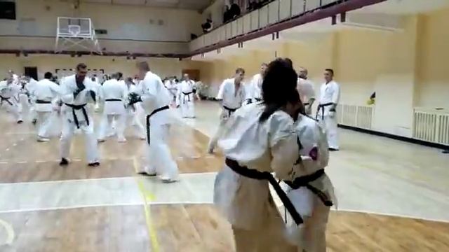 Бои на дан тесте2 смотреть онлайн