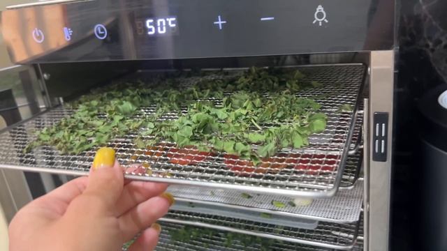 Летом отдохнуть не получится смотреть онлайн