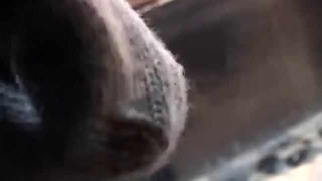 varezka_demo смотреть онлайн