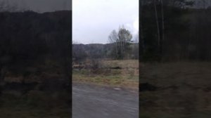 Горный Алтай