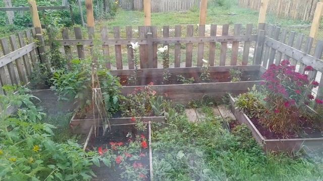 Выдрал цветы с корнями От меня такого не ожидал