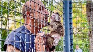 Мы тренировали Финика и тут он увидел папу Влада и как давай ЖАЛОВАТЬСЯ…